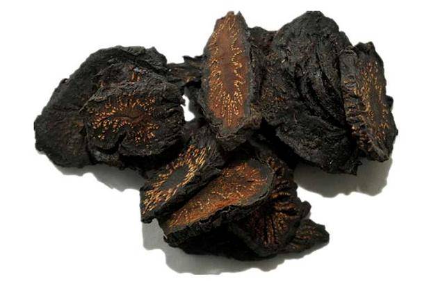 炮制肉苁蓉切片