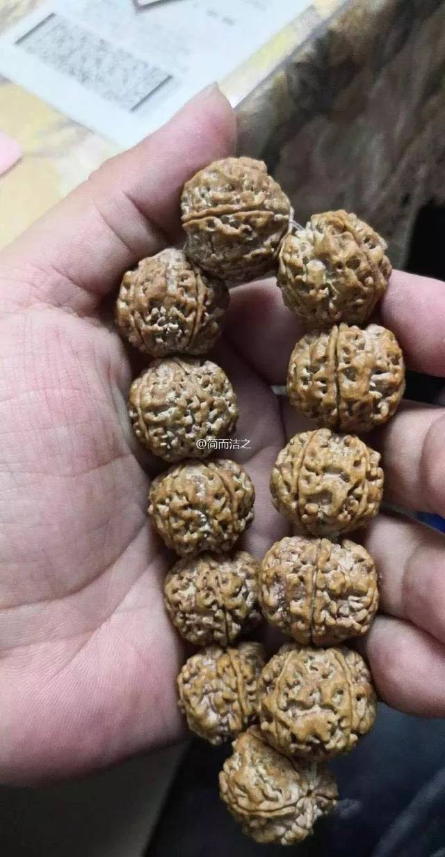 盘玩了一年的金刚,居然美成这样!