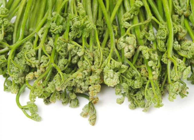 春食野菜有学问,常见可食用的野菜有哪些?