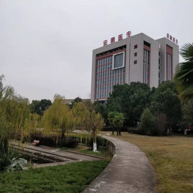 安徽最差的医学大专(安徽省安医专是最好的专科吗)