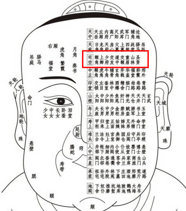 辅角骨面相图解图片