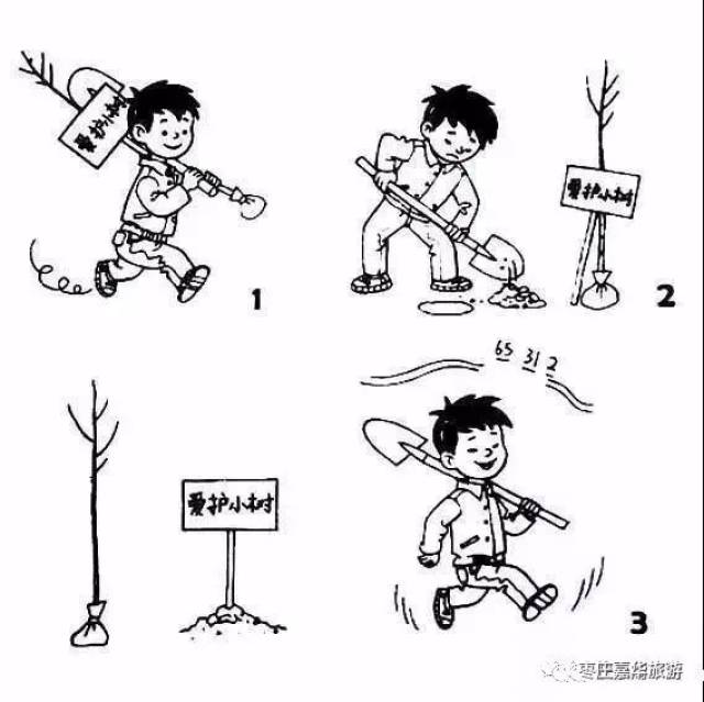 种树的步骤卡通图片