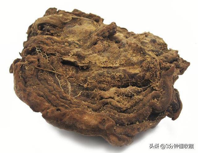 传说对棺材菌的生长条件苛刻