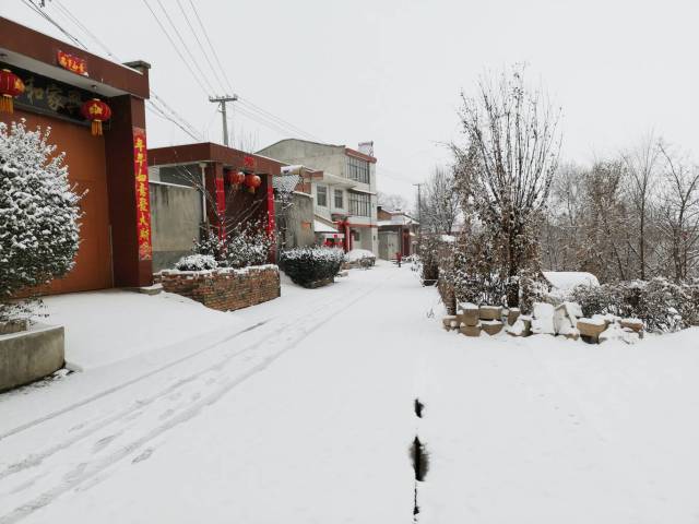 春节雪飘是儿时过年的最深记忆,每年除夕雪飘,初一雪中拜年,初三雪中