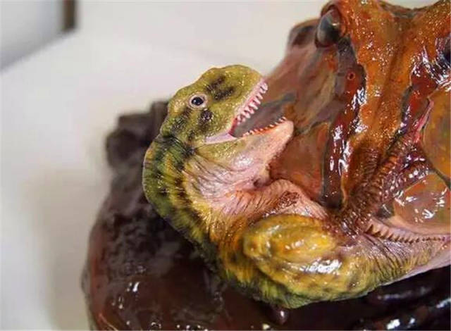 在距今七千多万年前的白垩纪时期,生活着一种魔鬼蛙