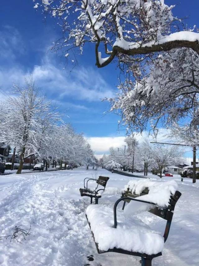 西雅图雪景图片