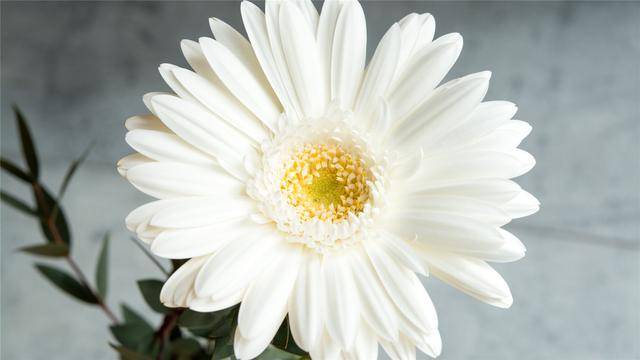 3月以后,射手座、水瓶座、天蝎座三大星座爱情