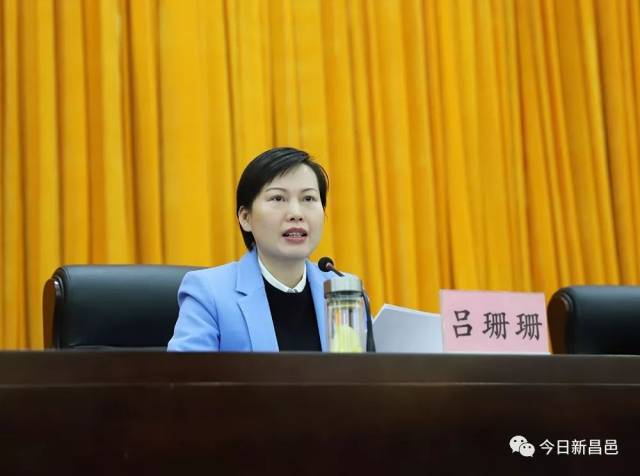 市委书记吕珊珊:抓落实,促发展要着重在八个方面实现新突破———全市