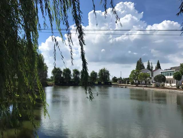 丹阳这4处成了省级"水美乡村",是你老家吗?