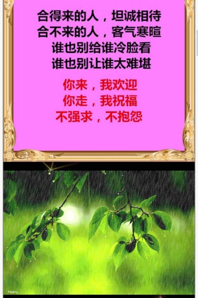 做人,很简单!人心换人心,你真,我更真,你假,我转身!