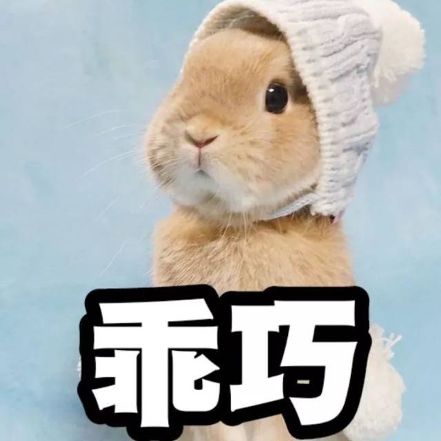 小升初丨福州华南实验中学2019年秋季招生简