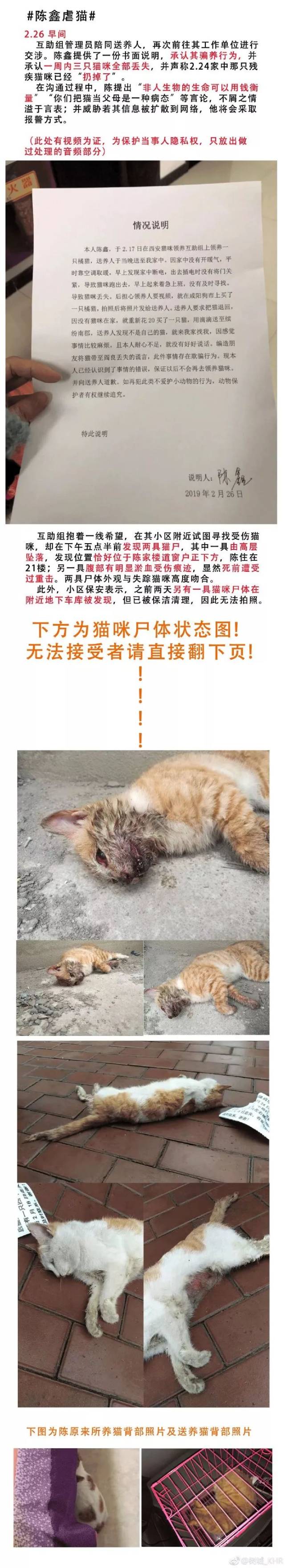 花花与三猫虐猫事件图片