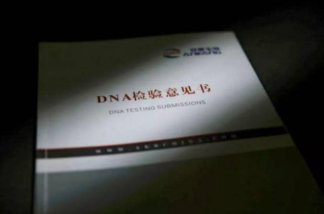 偷情乱伦与人性之光dna鉴定师一滴血照见1000种人生