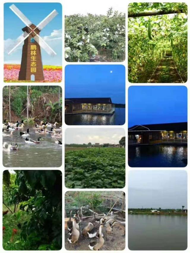 鹏林生态园简介鹏林生态园位于广州市南沙区万顷沙镇,鹏林生态园占地