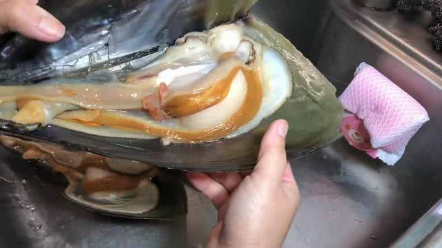 女孩买了3个海贝,掰开海贝发现一只"寄居龙虾",还是活的!_手机搜狐网