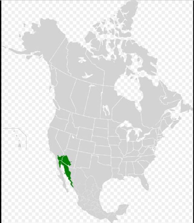 s04e09瀚海阑干世界沙漠的总体特征分类与形成