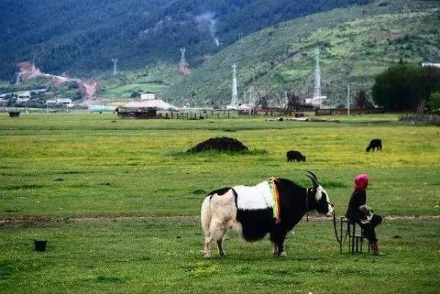 16:12 腾冲正在排练皮影戏 16:31 怒江福贡一对母子正在过溜索 16:48