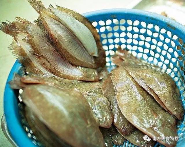 这条最丑的鱼粉身碎骨,造就了广东最美味的云吞灵魂