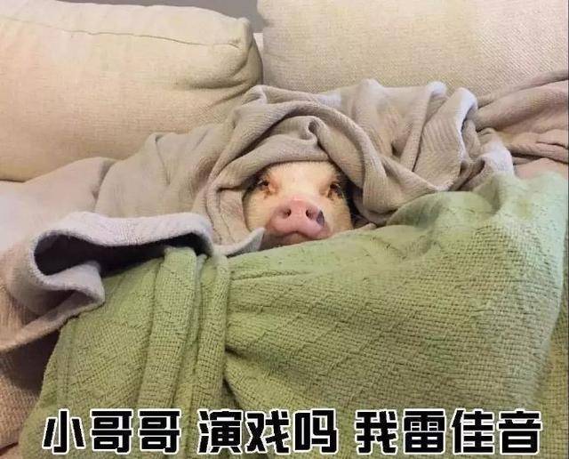 撩小哥哥表情包:小哥哥网恋吗?我萝莉音