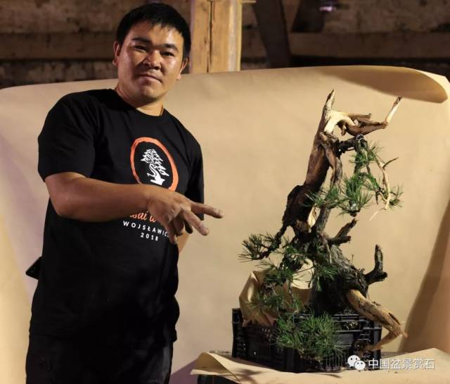 陈友贵在波兰黑剪刀的挑战性创作_手机搜狐网