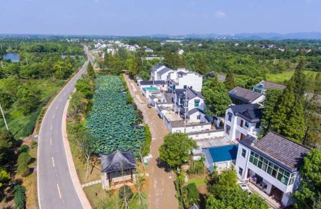 厉害了我的村长兴上泗安村奋斗前行