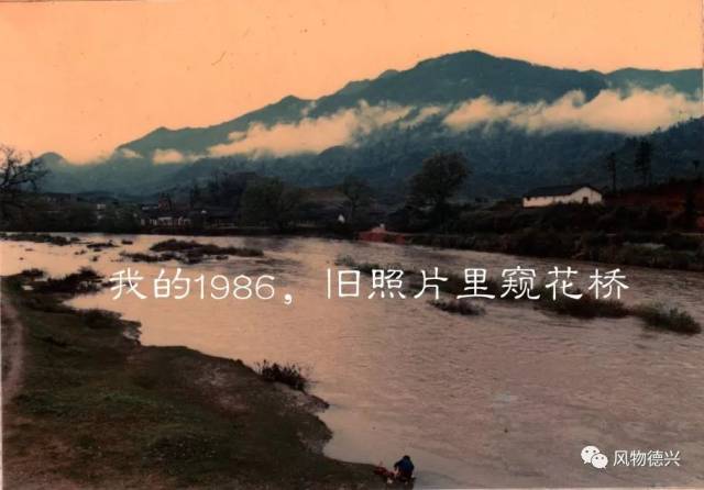 我的1986,老照片里看大茅山垦殖场