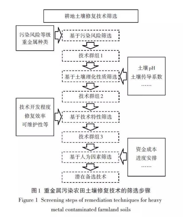 环境监测服务：守护生态绿色的小卫士