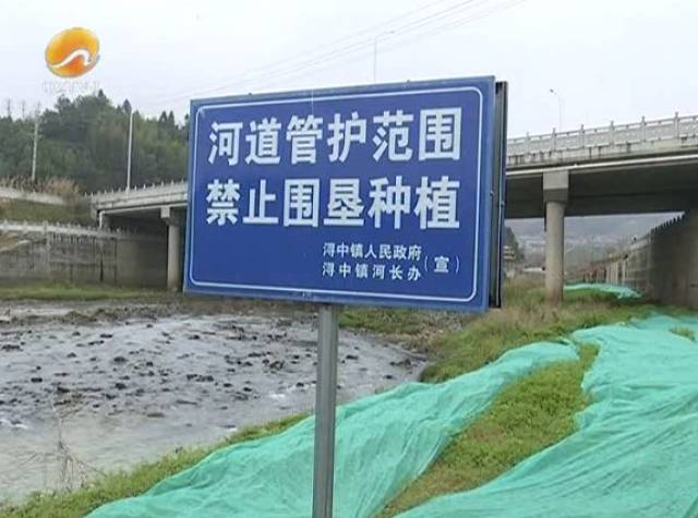 德化河道里不敢再种菜了!其危害比你想象的严重得多!