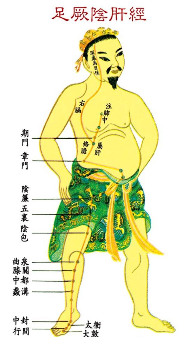 很美的中医之《十二经络穴位》即景诗