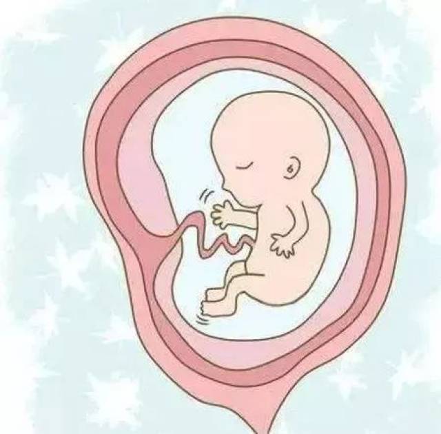 2, 内分泌因素:孕妇黄体功能不全,胎盘功能异常,多囊卵巢综合征,高