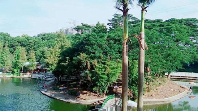 日月潭野炊山庄—网红抖球 毛毛虫比赛一日游