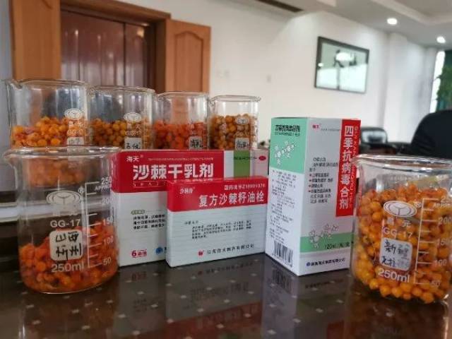 中藥提取和西藥原料合成等多條生產線,擁有複方沙棘籽油栓,沙棘幹乳劑