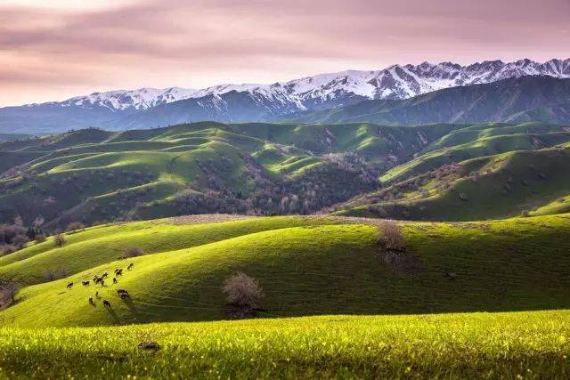 昔日的中亚乐园新疆今日的花千谷人少绝美低调得令人心疼