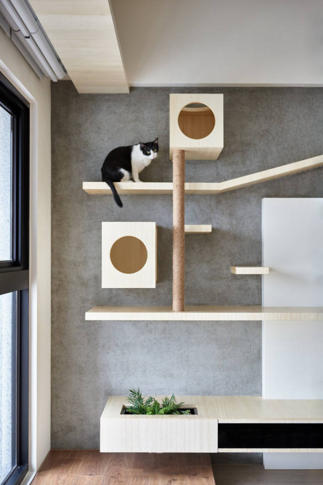 真猫奴的家才够惊艳!by贵朝全屋定制