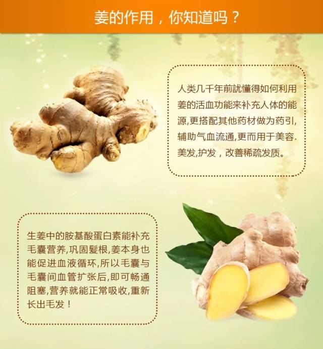 洋姜有什么功效与作用图片