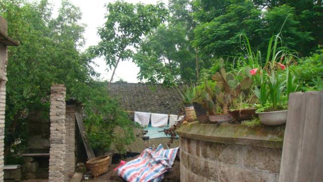 Δ堆放着杂物的陆贽墓