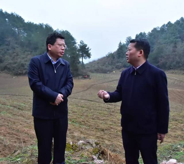 余庆农业产业怎么抓?王飞县长专门去了这些地方调研