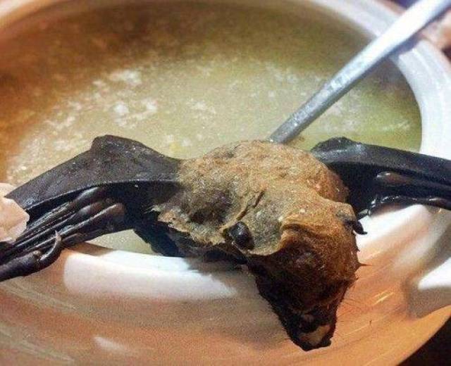 当地非常出名可是敢吃没有几个,毕竟这么大一只蝙蝠完全没有分解开来