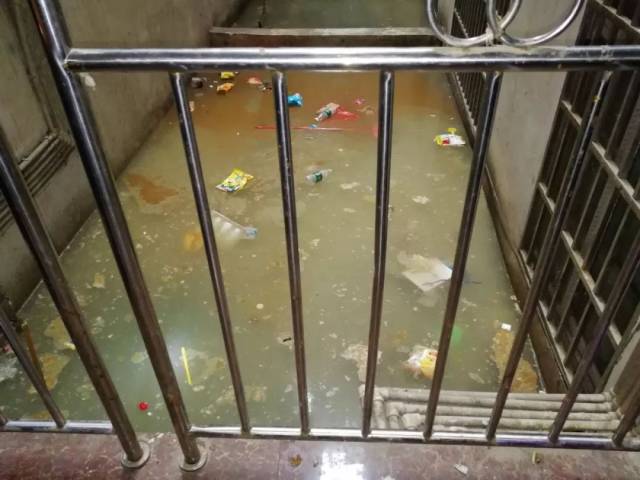 家中全是粪水,开发商语出惊人!