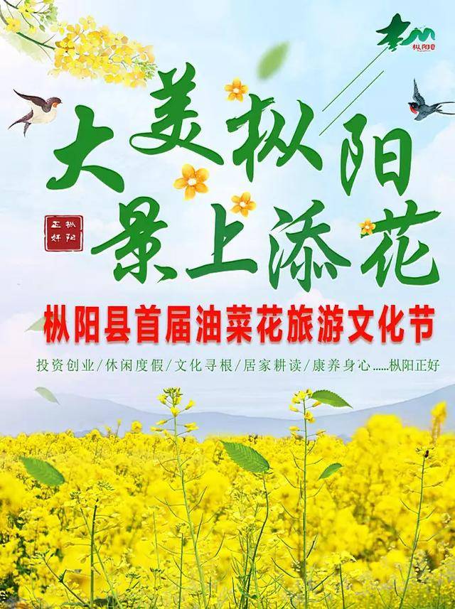 自从发出"英雄帖",全国人民都想看枞阳油菜花了!