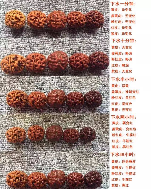 想要盘红金刚菩提，你得知道这些细节_搜狐网