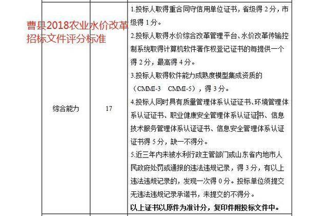 成武软件开发