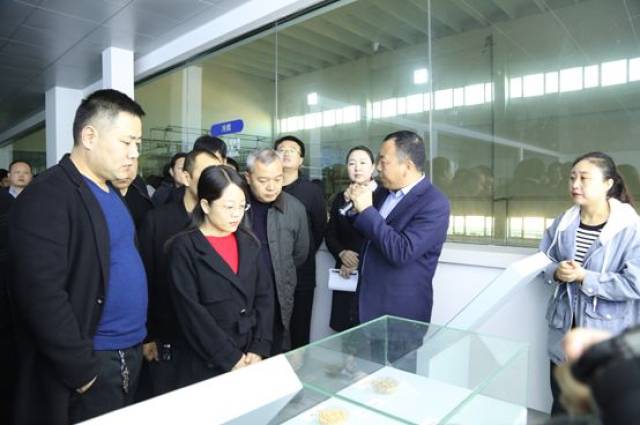 南和县委副书记,县长韩明智,政府办,农业农村局,住建局,发改局等多