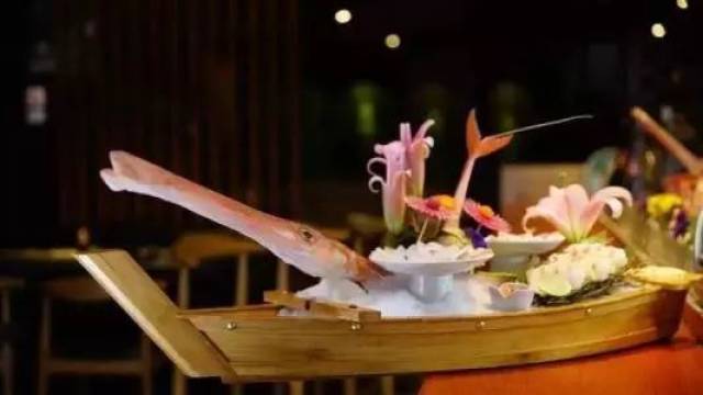 每天认识一种鱼(529)丨烟管鱼:身长吻尖的"大烟枪"!