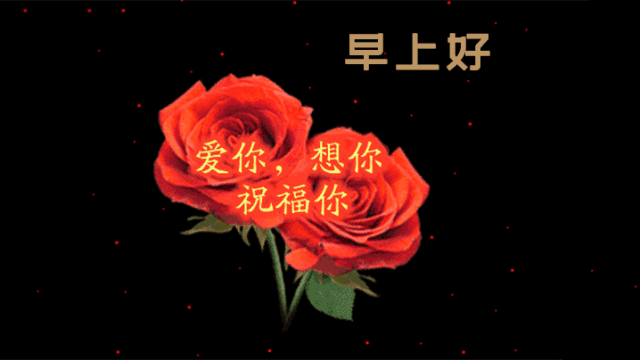 二月初一,新的一天,新的开始!