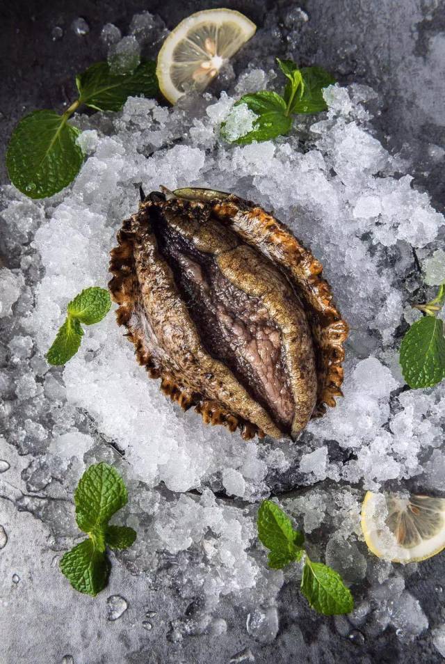 什么是"溏心"皇金鲍?干鲍的价格为何一直居高不下?