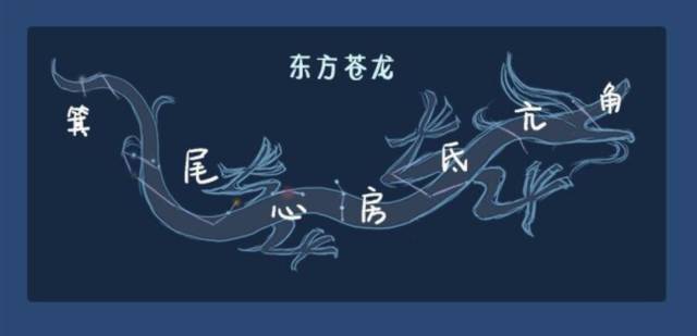其中的东方苍龙, 便是这二月二抬头的"龙".