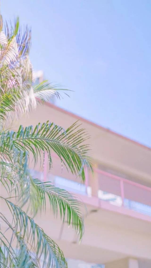 炸裂少女心的壁纸,用上你就是最粉嫩的仙女!