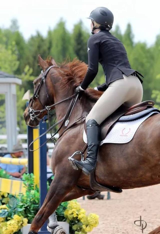 侧坐也能骑马?从"侧鞍"到男女同场竞技,看女骑士的进阶之路