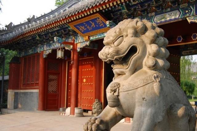 4次学科评估稳居榜首,这些高校专业很强势!